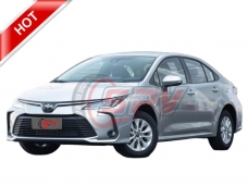 Corolla Family Car